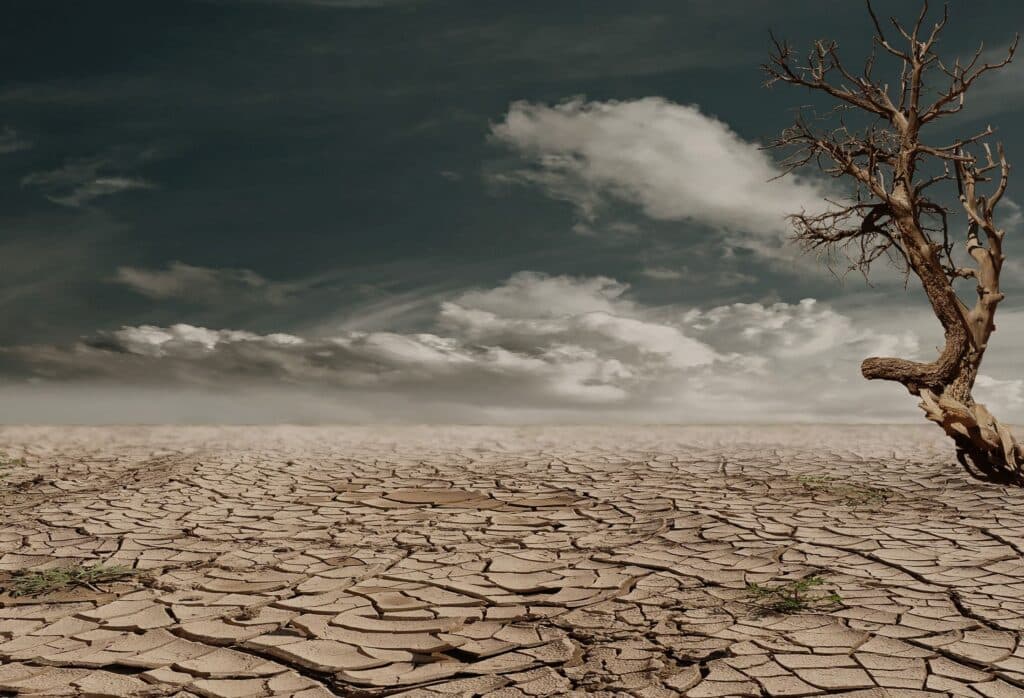 Tierra agrietada y seca con un árbol solitario, simbolizando las sequías extremas provocadas por El Niño.