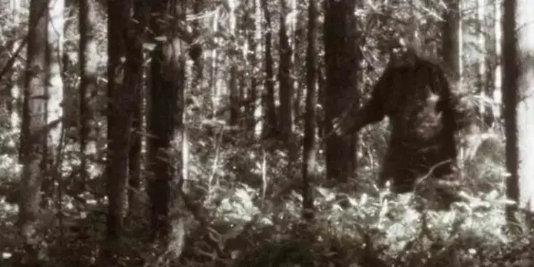 Estudiantes llaman a 911 al encontrarse con Pie Grande