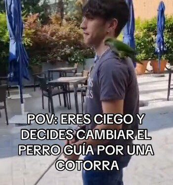 Influencer ciego usa un loro guía