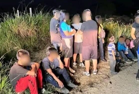 Polleros presentan ruta VIP hacia EU