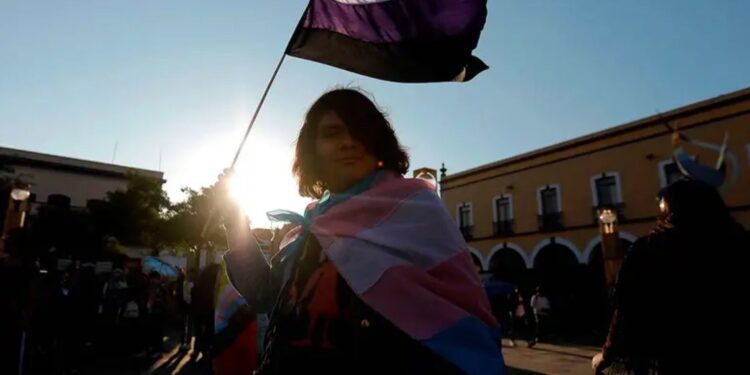 INE avanza en el registro de personas no binarias y trans