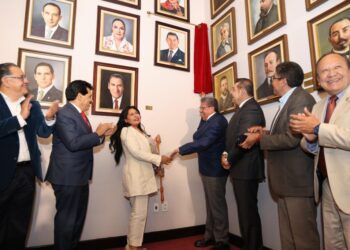 Compromiso y amor a la Patria, valores como presidente del Senado: Armenta