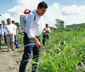 La industrialización del Cáñamo para el crecimiento sostenible y el cuidado del planeta impulsa Alejandro Armenta