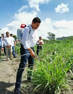 La industrialización del Cáñamo para el crecimiento sostenible y el cuidado del planeta impulsa Alejandro Armenta