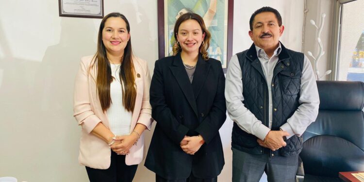 Realiza Gobierno Municipal de Tijuana capacitaciones en perspectiva de género para personas servidoras públicas